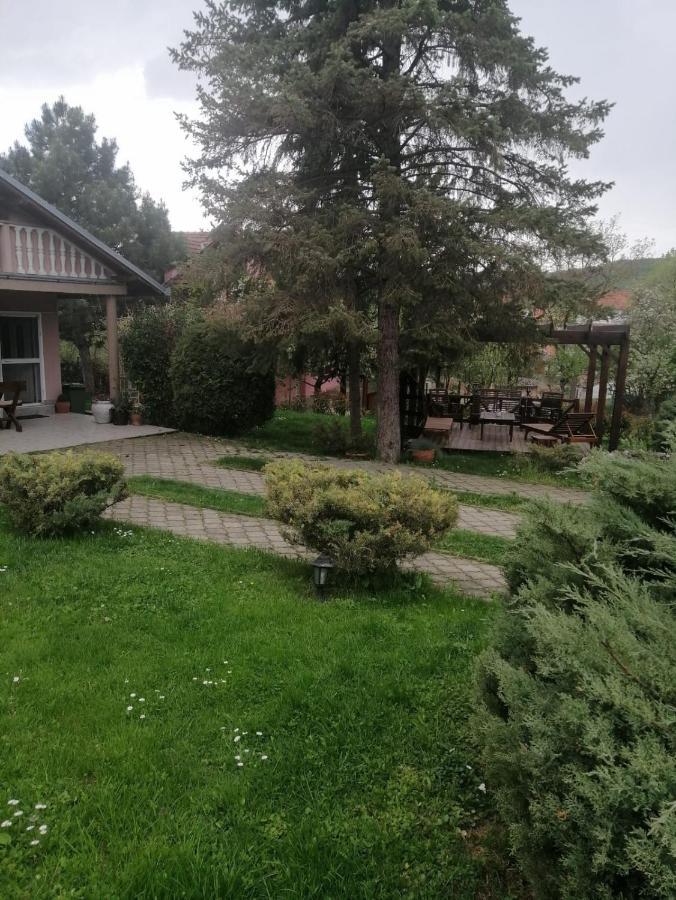Rajski Vrt Vrdnik Eksteriør bilde